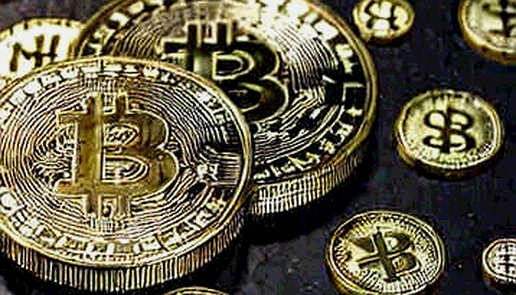 The 1,178-Dev Letter: Crypto's Internal Signal to Pause the Scaling Machine
