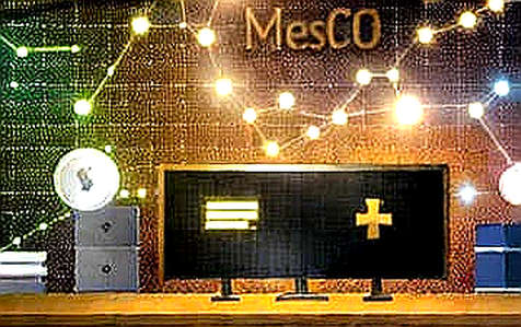 The Code Carcass: MVMT Labs' Bankruptcy and the $45M Illusion of MOVE