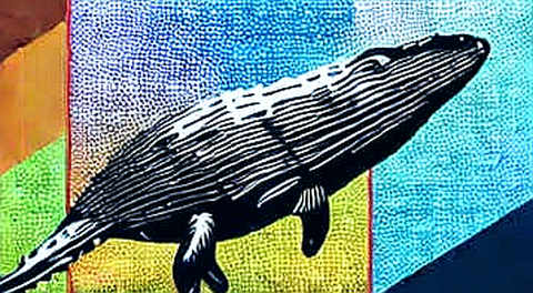 The SpaceX Signal: On-Chain Data Confirms Broader Risk Aversion, But The Narrative Is Already Priced In The SpaceX Signal: On-Chain Data Confirms Broader Risk Aversion, But The Narrative Is Already Priced In