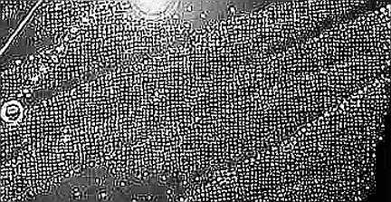 Oil Spike 4%: On-Chain Footprint Reveals Systemic Risk to DeFi Liquidity